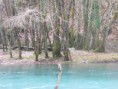 /album/goodtomorrows/dscf2241-jpg/